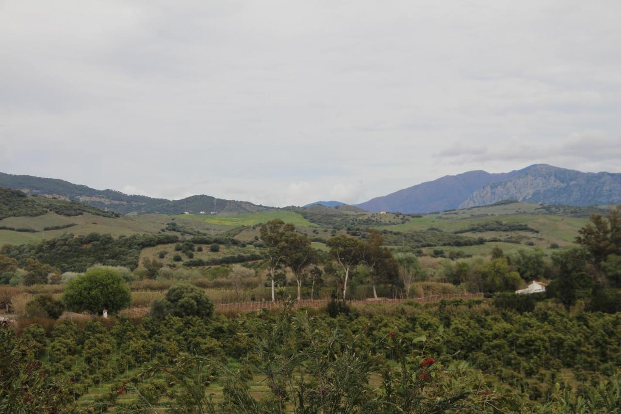 Los Dos Cedros San Pablo Dış mekan fotoğraf
